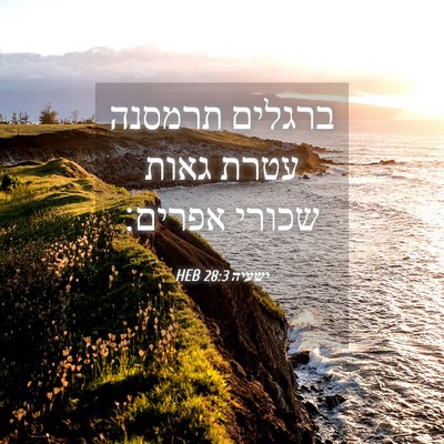 Picture 04 - ישעיה 28:3 HEB - ברגלים תרמסנה עטרת גאות - Bible Verse Picture