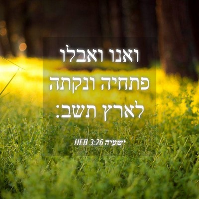 Picture 04 - ישעיה 3:26 HEB - ואנו ואבלו פתחיה ונקתה - Bible Verse Picture