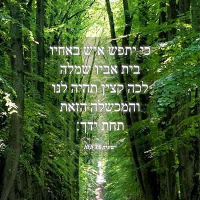 Picture 04 - ישעיה 3:6 HEB - כי יתפש איש באחיו בית אביו - Bible Verse Picture