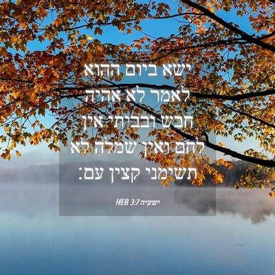Picture 04 - ישעיה 3:7 HEB - ישא ביום ההוא לאמר לא אהיה - Bible Verse Picture