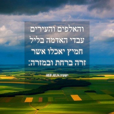 Picture 04 - ישעיה 30:24 HEB - והאלפים והעירים עבדי האדמה - Bible Verse Picture