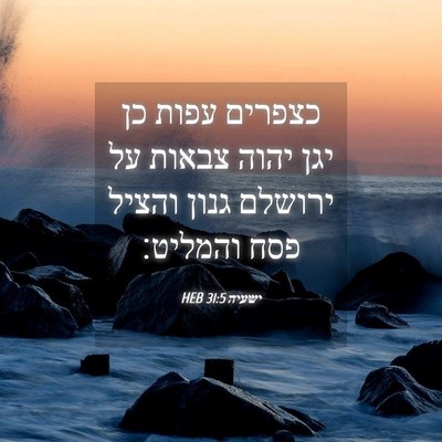 Picture 04 - ישעיה 31:5 HEB - כצפרים עפות כן יגן יהוה - Bible Verse Picture