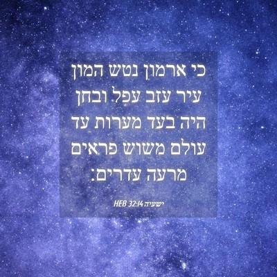 Picture 04 - ישעיה 32:14 HEB - כי ארמון נטש המון עיר עזב - Bible Verse Picture