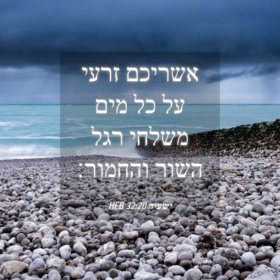 Picture 04 - ישעיה 32:20 HEB - אשריכם זרעי על כל מים משלחי - Bible Verse Picture