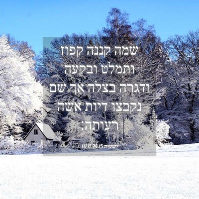 Picture 04 - ישעיה 34:15 HEB - שמה קננה קפוז ותמלט ובקעה - Bible Verse Picture
