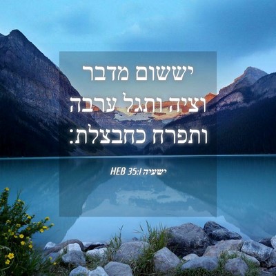 Picture 04 - ישעיה 35:1 HEB - יששום מדבר וציה ותגל ערבה - Bible Verse Picture