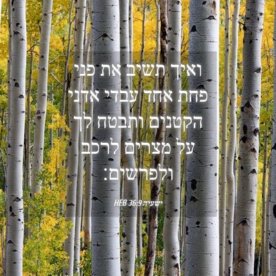 Picture 04 - ישעיה 36:9 HEB - ואיך תשיב את פני פחת אחד - Bible Verse Picture