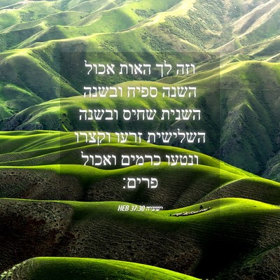 Picture 04 - ישעיה 37:30 HEB - וזה לך האות אכול השנה ספיח - Bible Verse Picture