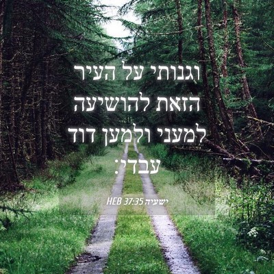 Picture 04 - ישעיה 37:35 HEB - וגנותי על העיר הזאת - Bible Verse Picture