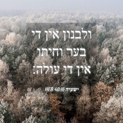 Picture 04 - ישעיה 40:16 HEB - ולבנון אין די בער וחיתו אין - Bible Verse Picture