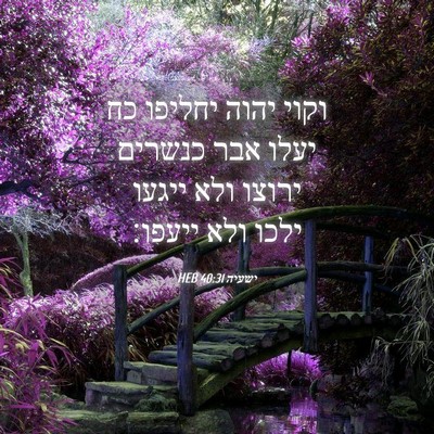Picture 04 - ישעיה 40:31 HEB - וקוי יהוה יחליפו כח יעלו - Bible Verse Picture