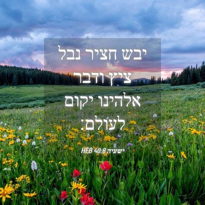 Picture 04 - ישעיה 40:8 HEB - יבש חציר נבל ציץ ודבר - Bible Verse Picture