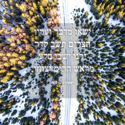 Picture 04 - ישעיה 42:11 HEB - ישאו מדבר ועריו חצרים תשב - Bible Verse Picture