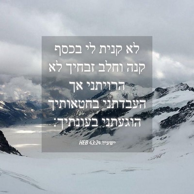 Picture 04 - ישעיה 43:24 HEB - לא קנית לי בכסף קנה וחלב - Bible Verse Picture