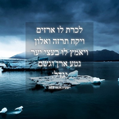Picture 04 - ישעיה 44:14 HEB - לכרת לו ארזים ויקח תרזה - Bible Verse Picture