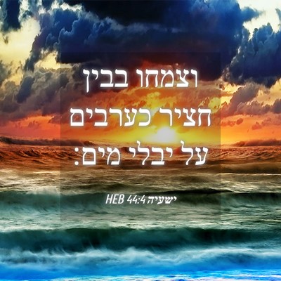 Picture 04 - ישעיה 44:4 HEB - וצמחו בבין חציר כערבים על - Bible Verse Picture