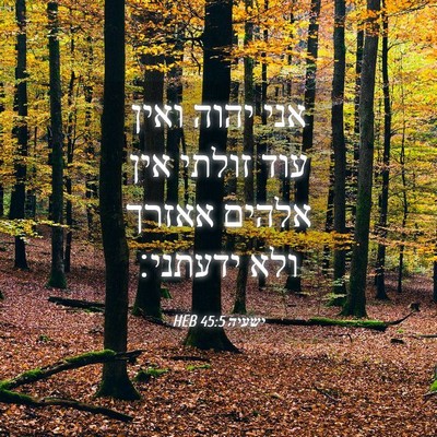Picture 04 - ישעיה 45:5 HEB - אני יהוה ואין עוד זולתי אין - Bible Verse Picture