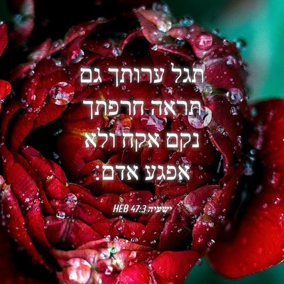 Picture 04 - ישעיה 47:3 HEB - תגל ערותך גם תראה חרפתך נקם - Bible Verse Picture