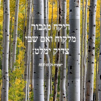 Picture 04 - ישעיה 49:24 HEB - היקח מגבור מלקוח ואם שבי - Bible Verse Picture