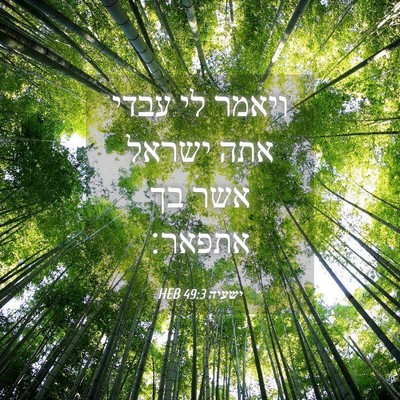Picture 04 - ישעיה 49:3 HEB - ויאמר לי עבדי אתה ישראל אשר - Bible Verse Picture