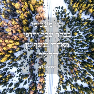Picture 04 - ישעיה 5:11 HEB - הוי משכימי בבקר שכר ירדפו - Bible Verse Picture