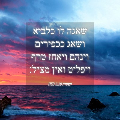 Picture 04 - ישעיה 5:29 HEB - שאגה לו כלביא ושאג ככפירים - Bible Verse Picture