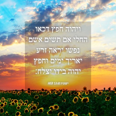 Picture 04 - ישעיה 53:10 HEB - ויהוה חפץ דכאו החלי אם תשים - Bible Verse Picture