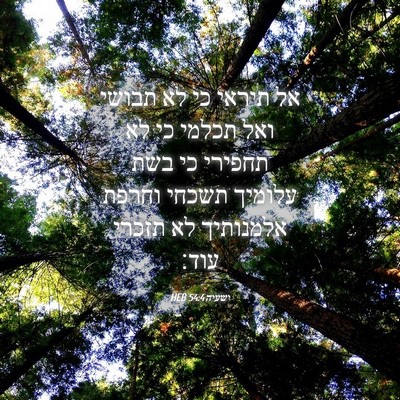 Picture 04 - ישעיה 54:4 HEB - אל תיראי כי לא תבושי ואל - Bible Verse Picture