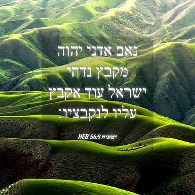 Picture 04 - ישעיה 56:8 HEB - נאם אדני יהוה מקבץ נדחי - Bible Verse Picture