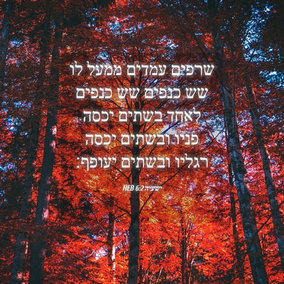 Picture 04 - ישעיה 6:2 HEB - שרפים עמדים ממעל לו שש - Bible Verse Picture