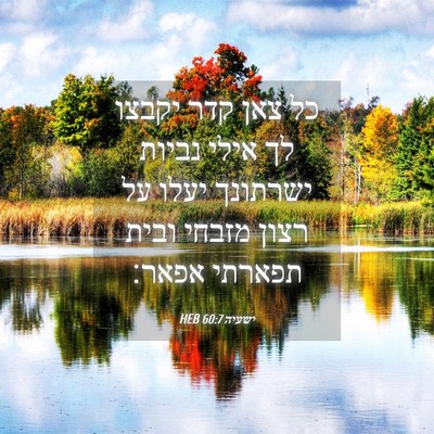 Picture 04 - ישעיה 60:7 HEB - כל צאן קדר יקבצו לך אילי - Bible Verse Picture