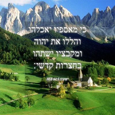 Picture 04 - ישעיה 62:9 HEB - כי מאספיו יאכלהו והללו את - Bible Verse Picture