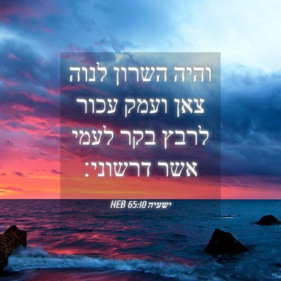Picture 04 - ישעיה 65:10 HEB - והיה השרון לנוה צאן ועמק - Bible Verse Picture