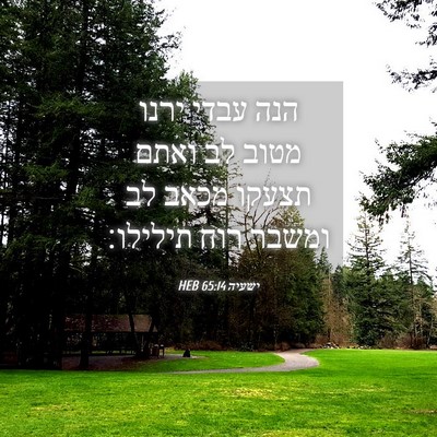 Picture 04 - ישעיה 65:14 HEB - הנה עבדי ירנו מטוב לב ואתם - Bible Verse Picture
