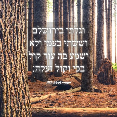 Picture 04 - ישעיה 65:19 HEB - וגלתי בירושלם וששתי בעמי - Bible Verse Picture