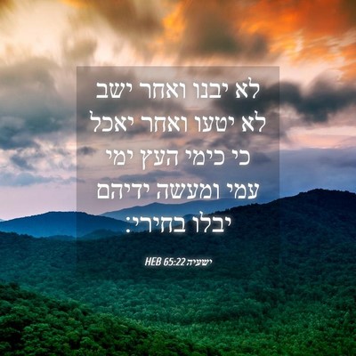 Picture 04 - ישעיה 65:22 HEB - לא יבנו ואחר ישב לא יטעו - Bible Verse Picture
