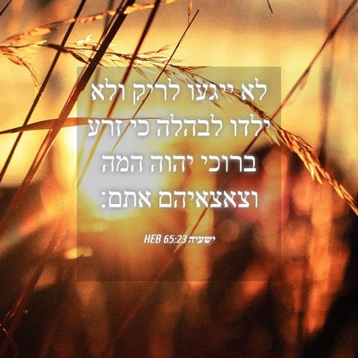 Picture 04 - ישעיה 65:23 HEB - לא ייגעו לריק ולא ילדו - Bible Verse Picture