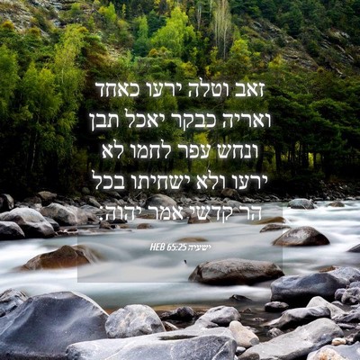 Picture 04 - ישעיה 65:25 HEB - זאב וטלה ירעו כאחד ואריה - Bible Verse Picture