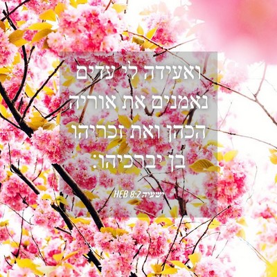 Picture 04 - ישעיה 8:2 HEB - ואעידה לי עדים נאמנים את - Bible Verse Picture