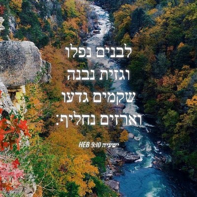 Picture 04 - ישעיה 9:10 HEB - לבנים נפלו וגזית נבנה - Bible Verse Picture