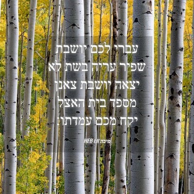 Picture 04 - מיכה 1:11 HEB - עברי לכם יושבת שפיר עריה - Bible Verse Picture