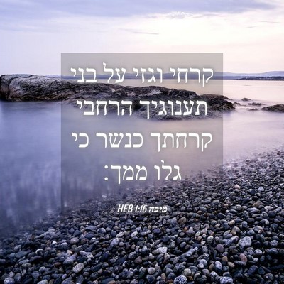 Picture 04 - מיכה 1:16 HEB - קרחי וגזי על בני תענוגיך - Bible Verse Picture