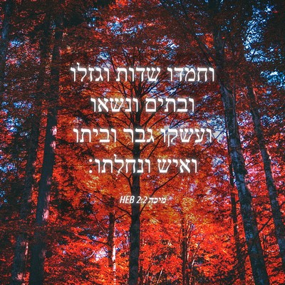 Picture 04 - מיכה 2:2 HEB - וחמדו שדות וגזלו ובתים - Bible Verse Picture