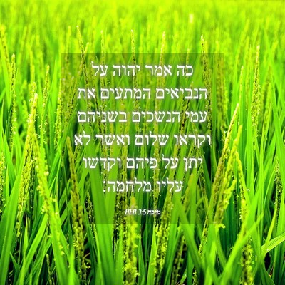 Picture 04 - מיכה 3:5 HEB - כה אמר יהוה על הנביאים - Bible Verse Picture