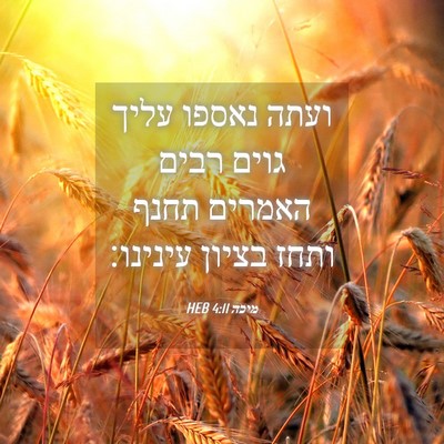 Picture 04 - מיכה 4:11 HEB - ועתה נאספו עליך גוים רבים - Bible Verse Picture