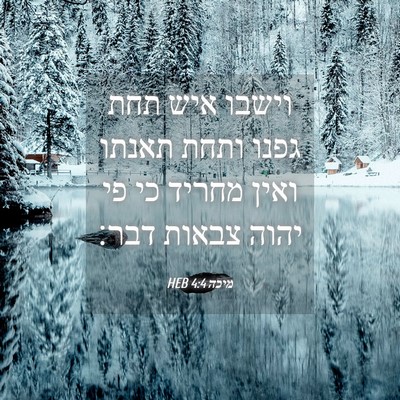 Picture 04 - מיכה 4:4 HEB - וישבו איש תחת גפנו ותחת - Bible Verse Picture