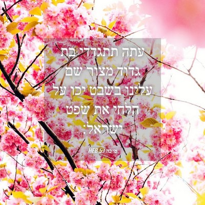 Picture 04 - מיכה 5:1 HEB - עתה תתגדדי בת גדוד מצור שם - Bible Verse Picture
