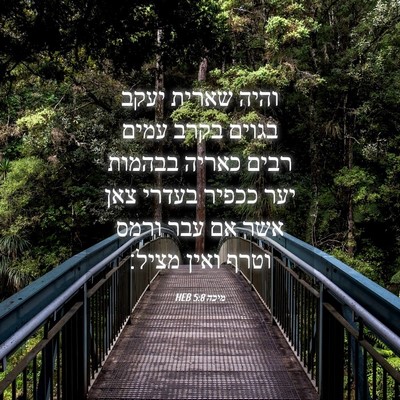 Picture 04 - מיכה 5:8 HEB - והיה שארית יעקב בגוים בקרב - Bible Verse Picture