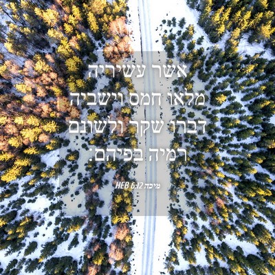 Picture 04 - מיכה 6:12 HEB - אשר עשיריה מלאו חמס וישביה - Bible Verse Picture