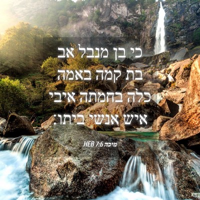 Picture 04 - מיכה 7:6 HEB - כי בן מנבל אב בת קמה באמה - Bible Verse Picture
